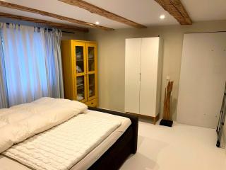 New! Lake view apartment & terrace, cheap due to renovation - Lago de Constança - 4