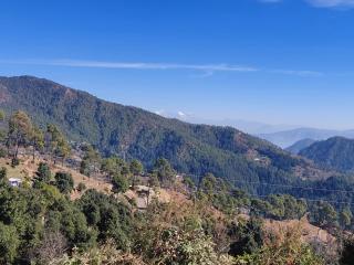 Laxman Vila Hilltop Retreat - 7