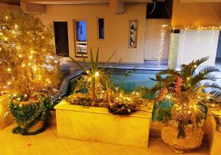 Stylish Pool View Palma House, steps from Beach - 8