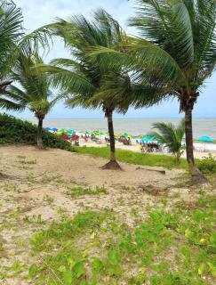 Flat Alta Marine 411 - 9