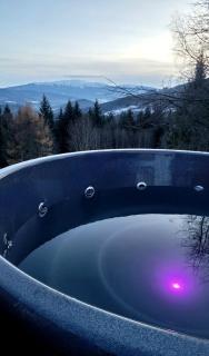 Domki na polanie - 9