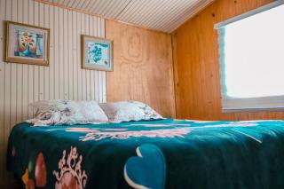 Cabañas del Río Bueno - 4