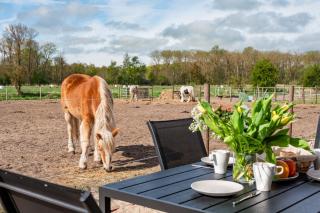 Ferienwohnungen Reiterhof Boltenhagen - 3