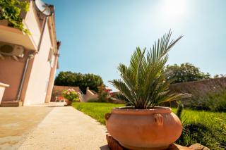 Apartman Mirjana - 1