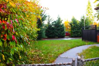 Zen Suite for two 13 miles to Seattle Space Needle - 4