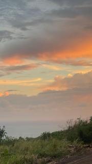 Grand Sunset Luxury Guest House with Mountain and Seaview - 5 bedroom - Jamaica, St Elizabeth, Junction - 6