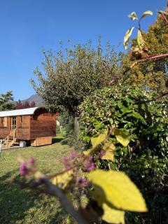 Y Hôtes - La Roulotte de la Lierre - 7