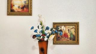 شقق اكادير - 0