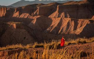 La Casa del Desierto - 8
