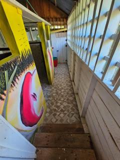 Flor de la selva - 1