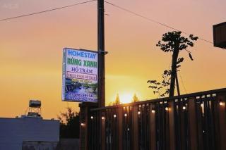 Homestay GreenWood - 8