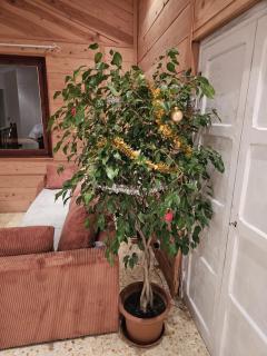 Les 3 vallées 2 - Séranon - 8