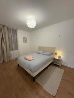 Appartemment 2 chambres à 10min de la gare à pied - LYON -Paris-Bellegarde-Genève - 3