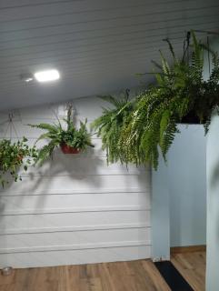 Casa Relaxante perto das Cataratas e Cachoeira - 1