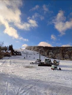 Domki w Bieszczadzkiej Dolinie - 5