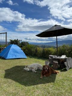 Zona de Camping El mirador - 8