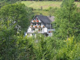 Pension & Ferienhaus Latröpchen - Schmallenberg - 5