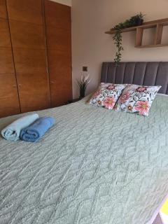 Barrio Italia Tranquilidad y comodidad a pasos de restaurantes con estacionamiento privado - 3