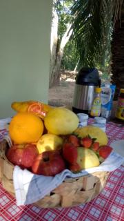 Castelo dos Caramujos - 9