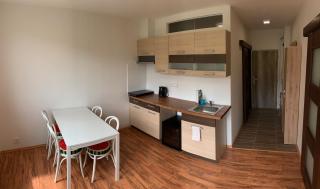 Útulný apartmán v Jizerkách - 4