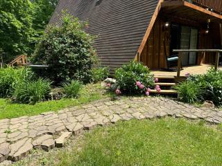 Wild Ivy cottage - 4