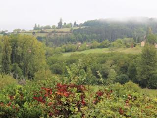 Maison de charme près de Belvès avec cheminée, terrasse, animaux admis - FR-1-616-542 - 9