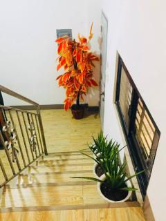 Reach the fun at heavenly angels rooftop - 7