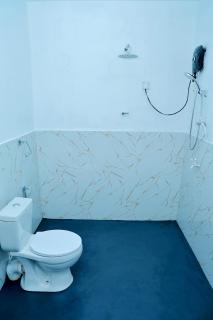 Himagiri Nature Villa - 6