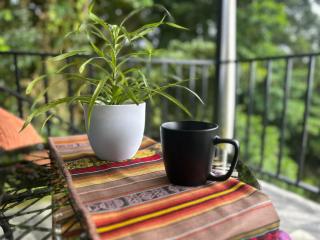 Dadirri Cozy House Santa Elena Monteverde - 1