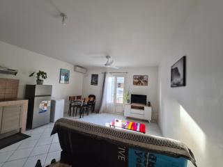 Le Frangipagnier Appartement T2 Centre ville - 9