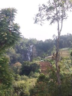 Diamond Heart Homestay - 8