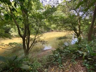 Hostel Guacimo Workaway and Workpackers - 8