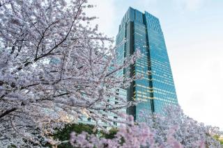 The Ritz-Carlton, Tokyo - 7