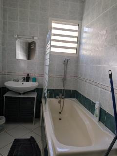 Le Frangipagnier Appartement T2 Centre ville - 8