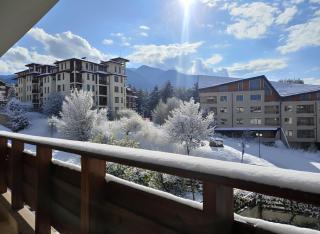 Deluxe Apartment "Detelina" 200m from SKI ROAD - 9