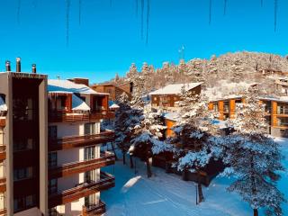 Bakuriani inn Apartment - 0