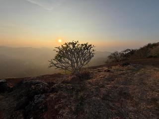 Accadio Residency - 9