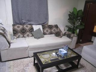 العين الهيلي مصباح ب1 - 7