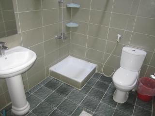 العين الهيلي مصباح ب1 - 1