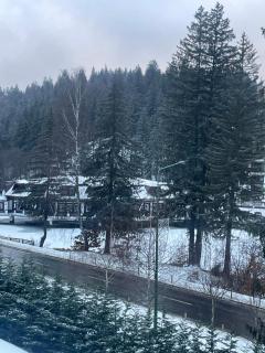 Velvet by Poiana Brasov Saună &Jacuzzi - 9