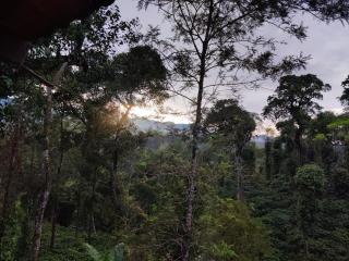 Coorg coffee estate 3 bedroom villa with open balcony - 8