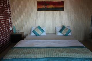 Himalaya View Resort - Mukteshwar - 3