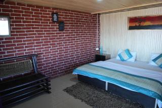 Himalaya View Resort - Mukteshwar - 2