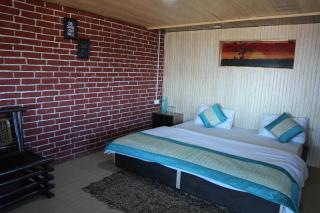 Himalaya View Resort - Mukteshwar - 4