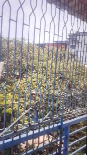 PARRAS ResidencY - 4