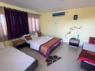 Himalaya View Resort - Mukteshwar - 8