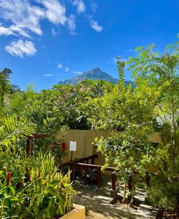 Tropical Hideaway - 8