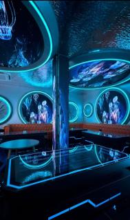 The Millionaire Villa Melaka - 4