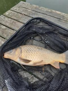 La maison du Marais à Bourbourg - 6