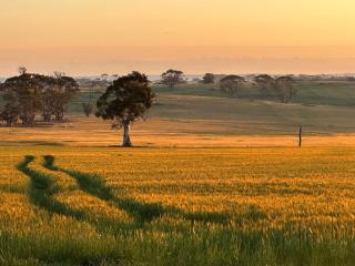 Woburn Field Hangar House in York - 8